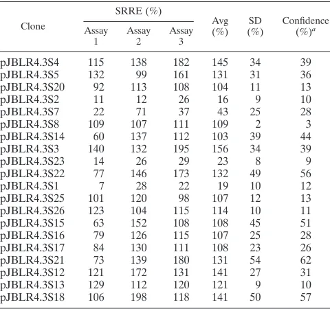 FIG. 3. Replication assay as described in the text. The ﬁrst column of slots (samples 1 through 5) is a pJBLR4.3 standard curve, the second column is a pCMVNS-1standard curve as a control for hybridization speciﬁcity, and subsequent columns (samples 6 thro
