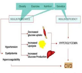 Figure 1 Shows the interaction among the various risk factors of cardiovascular disease