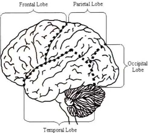 Table 2.1: Brain imaging methods that can be used for BCI [27].