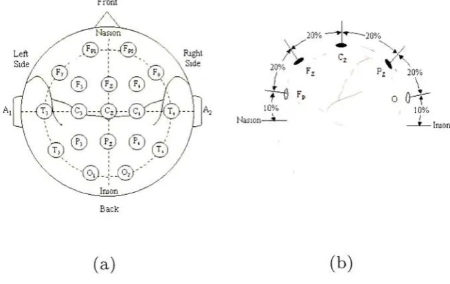 Figure 2.7:electrode International 10-20 System of Electrode Placement, (a) Top view showing the 21 positions, (b) Side view showing electrode positions at 10 and 20% of the distancebetween the nasion and inion measured over the top of the head