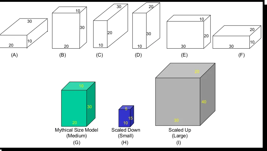Figure 4.  Representation of a Sizing System Based on “Developed” or 