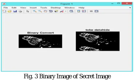 Fig. 3 Binary Image of Secret Image 