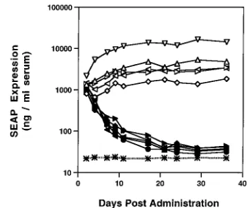 TABLE 1. Relative transgene expression per vector genome inimmunodeﬁcient mice