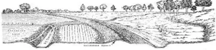 Figure 3. The cross-slope system (diversion system) 
