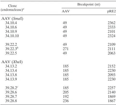 TABLE 3. In vitro integration junctions fromno-end DNA and pRE2
