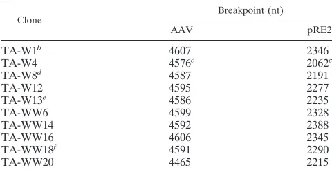 TABLE 1. AAV–ch-19 junctions from WI-38 latent cell linesa