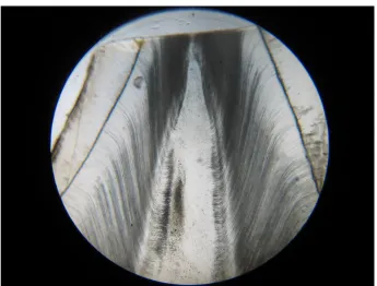 FIGURE .3