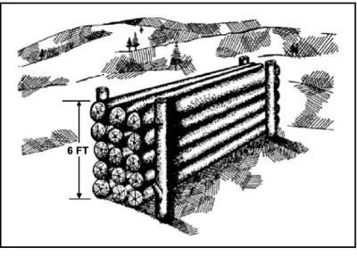 Figure 2-4. Log wall.