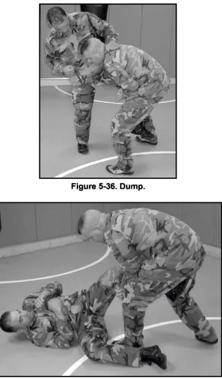 Figure 5-36. Dump.