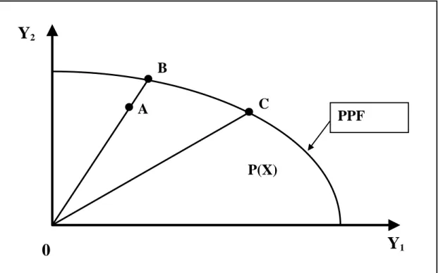 Figure 1: Output-oriented distance function with 2 outputs, Y 1 , Y 2  given input vector, X