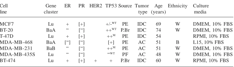 Fig. 1. Expression of PDLIM4 in breast cancer cell lines