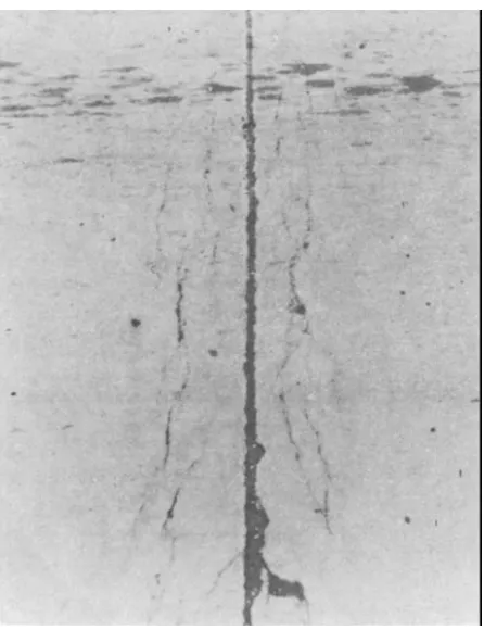 Figure 5-1. Pattern or map cracking on a pier.