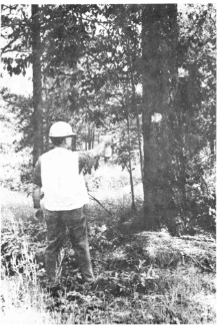 Figure 2-2. Paint marking tree