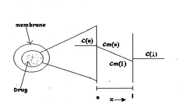 Fig.4. Schematic representation of a reservoir diffusion device. Cm (o) and Cm (1) represent concentrations of drug at the inside surfaces of the membrane and C (o) and C (1) represent concentration in the adjacent regions   
