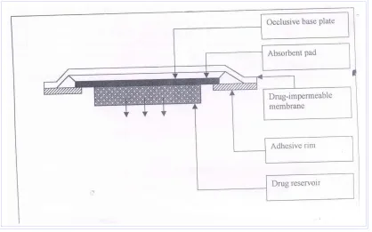 Figure No.3 Matrix Diffusion Transdermal Drug Delivery System