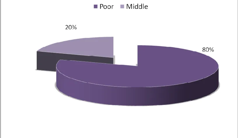 Table 5 SOCIO - ECONOMIC STATUS OF PATIENTS 