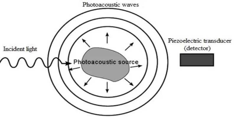 Fig. 1 Photoacoustic tomography principle 