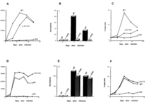 TABLE 1. Functional properties of HIV-1 envelope glycoproteins