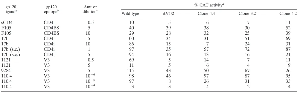 TABLE 2. Neutralization of recombinant HIV-1 with different envelope glycoproteins