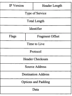 Figure 9- IPv4 Datagram