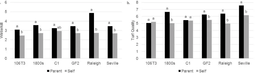 Figure 2.1. Lsmeans and mean separation between parental and selfed lines for a. winterkill and b