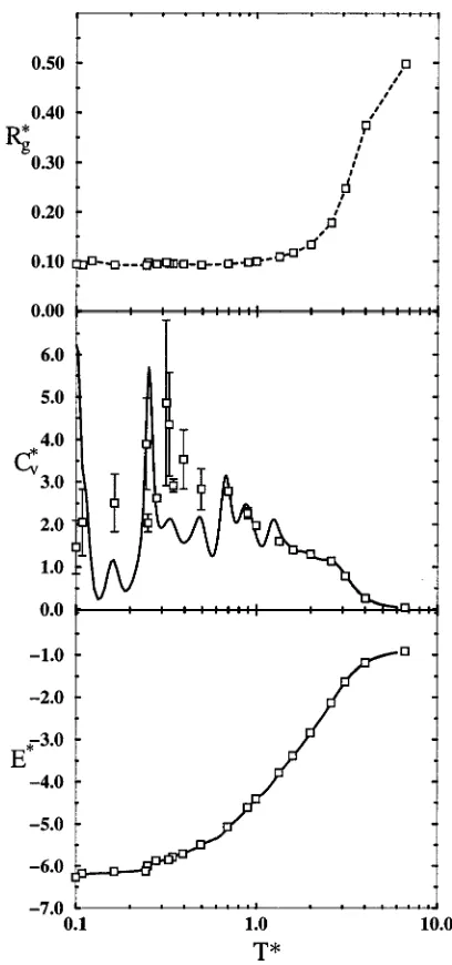 FIG. 15. Reduced-squared radius of gyration (R*g), reduced speciﬁc heat(C*v), and reduced energy (E*) as a function of reduced temperature (T*)for the overlapping rigid homoprotein.