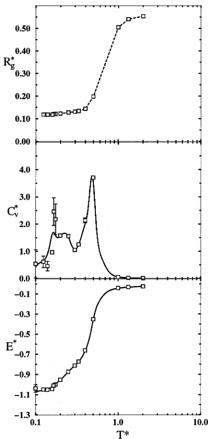 FIG. 17. Reduced-squared radius of gyration (R*g), reduced speciﬁc heat(C*v), and reduced energy (E*) as a function of reduced temperature (T*)for the overlapping rigid heteroprotein.