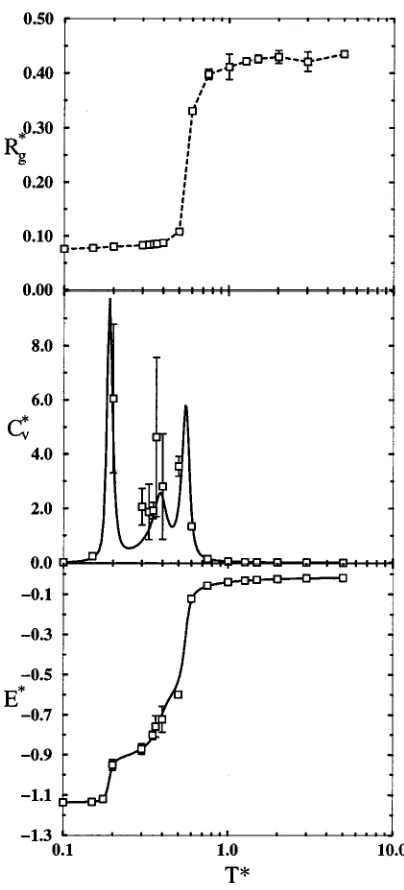 FIG. 8. Reduced-squared radius of gyration (R*g), reduced speciﬁc heat(C*v), and reduced energy (E*) as a function of reduced temperature (T*)for the heteroprotein.