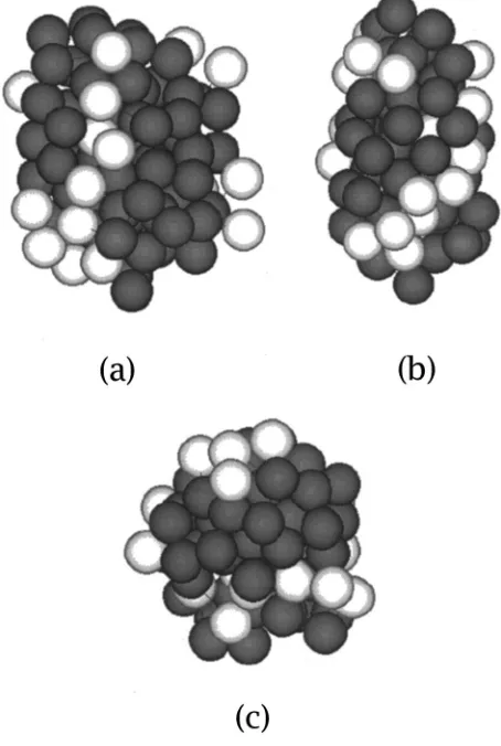 FIG. 11. Nonuniform rigidity in models �d� through �g�. Three four-beadmonomer building blocks are shown; the central bead of each monomer isstriped