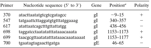 TABLE 1. Oligonucleotide primers