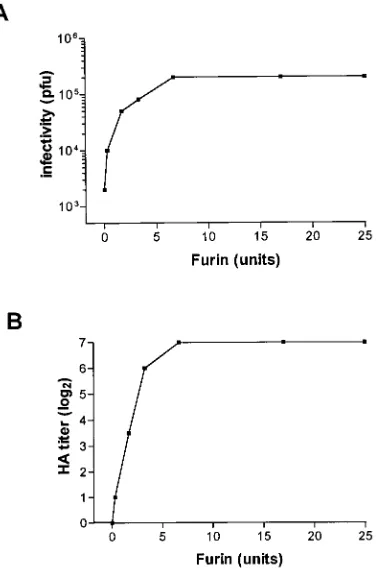 FIG. 6. Fusion activity of in vitro-activated immature virions. Different virus preparations were tested for their ability to induce fusion of C6/36 mosquito cells atpH 5.5