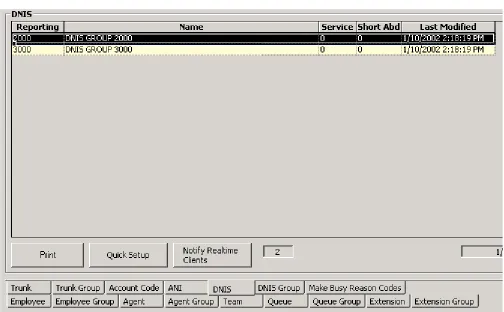 Figure 5-16 illustrates the DNIS tab. The functions on the DNIS tab are the same as those presented in the section entitled Agent tab