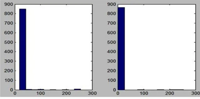 Fig. 8. Initial Bad Frame Capture (Average Pixel Intensity vs Length) [Chatterjee et al.]