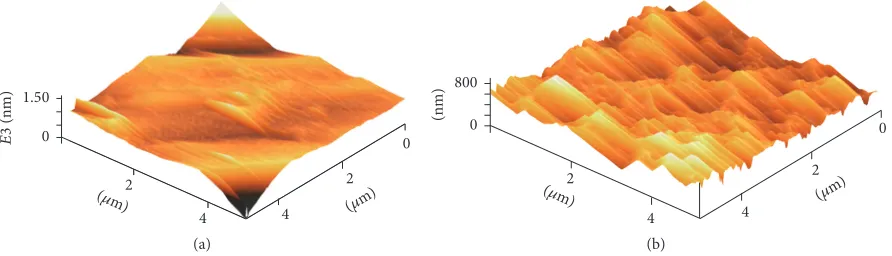 Figure 2: AFM 3D height image of (a) SPEEK and (b) PEEK.