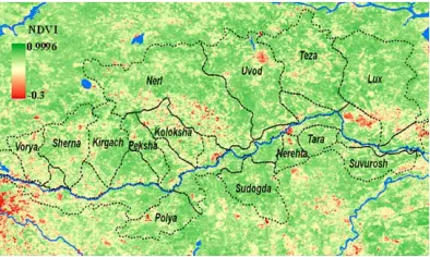 Fig. 6. NDVI distribution in the basins oftributaries of the Klyazma River (MODIS,250 m resolution, 12.07.2014)