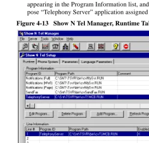 Figure 4-13   Show N Tel Manager, Runtime Tab 