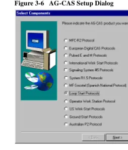 Figure 3-6   AG-CAS Setup Dialog