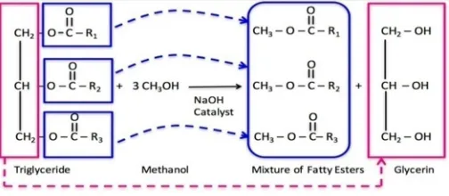 Fig 1: Processing of biodiesel from raw oil 