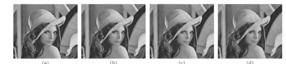 Figure 5: (a) Original image, 512 by 512, 8bits/pixel,with MSE = 0, PSNR =  1, (b) Speckle noisy image with var.0.04,(c)Speckle noisy image with var