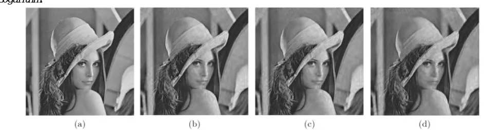 Figure 8: (a) Original image, 256 by 256, 8bits/pixel, with MSE = 0, PSNR =1, (b) Restored image of noise var.0.04,(c)Restored  image of noise var