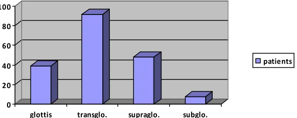 Fig. 1. Frequency distribution according to the anatomical location of laryngeal cancer in patient