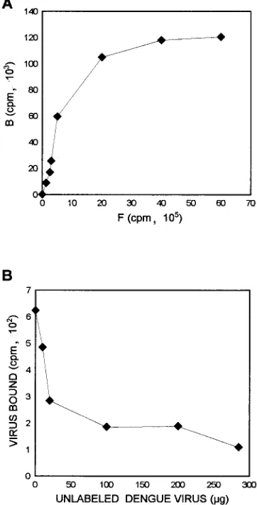 FIG. 1. Binding of cpm/amounts of labeled dengue type 4 virus in the presence of a constant number ofcells (5petition of unlabeled dengue virus preincubated with C6/36 cells for 2 h before35S-labeled dengue type 4 virus (speciﬁc activity, 4 � 104�g) to the
