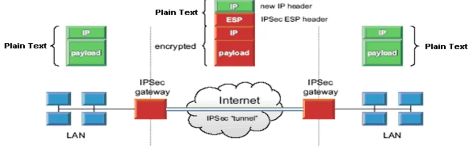 Fig. 1 VPN using IPSec 