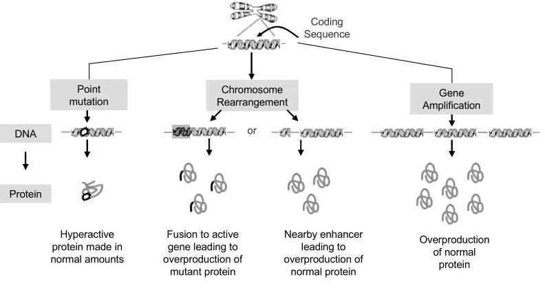 Figure 5.  Oncogene activation116 