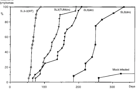 TABLE 1. Induction of lymphomas in inbred NMRI miceby SL3-3 wild type and enhancer variants