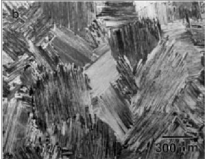 Figure 5Optical micrograph shows the equiaxed microstructure of as-cast single phase gammaalloys [13]