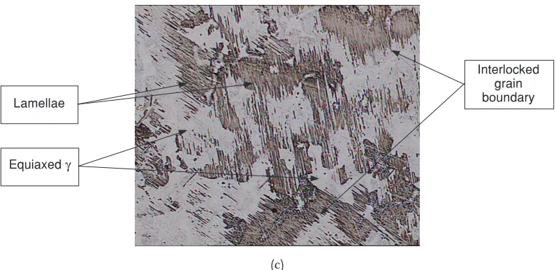 Figure 2Optical micrograph showing microstructure of (a)Ti-45Al, (b)Ti-48Al and (c) Ti-50Al atmagnification of 50x