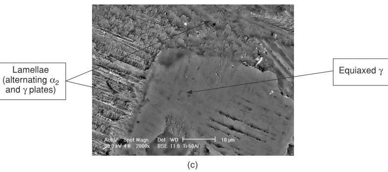 Figure 3Scanning electron (back scattered electron mode) micrograph showing microstructuresof (a) Ti-45Al, (b) Ti-48Al and (c) Ti-50Al at magnification of 2000x