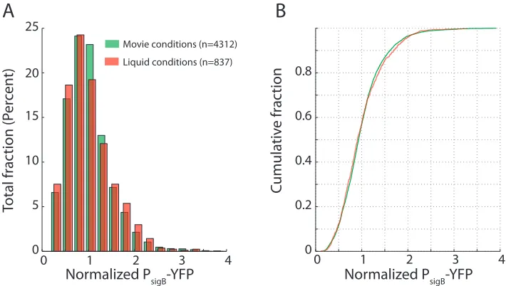 Figure 2.7: Pulse characteristics indicate σgeneration n+1 is independent of the presence of pulses in generation n