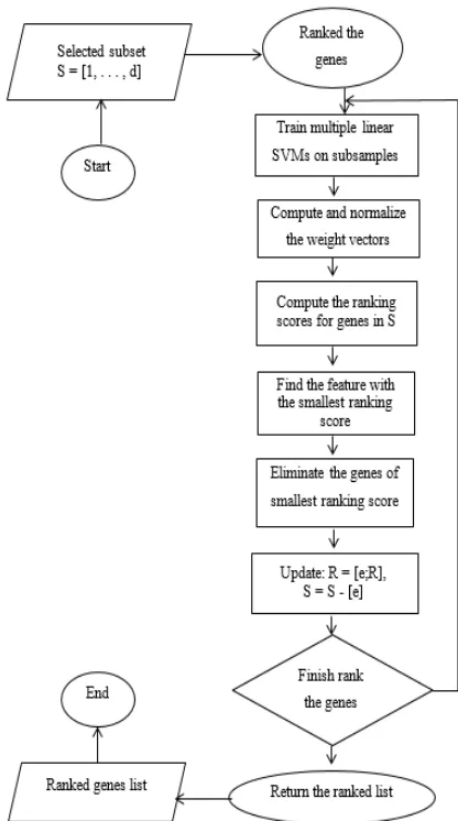 Fig. 3  The recursive procedure of MSVM-RFE 